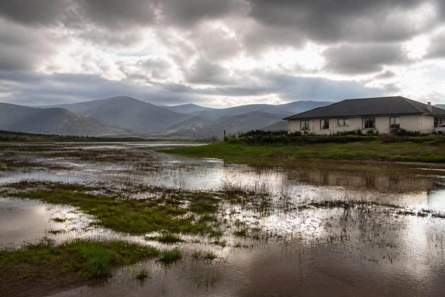 Flood & Earthquake Insurance