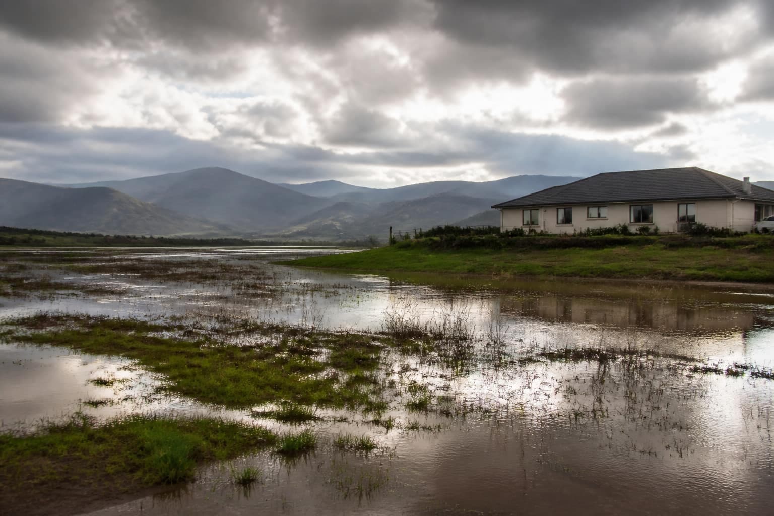 Flood & Earthquake Insurance